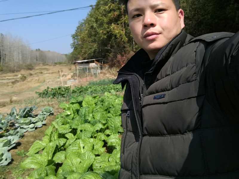倔强的驴的第一张照片--三明相亲网