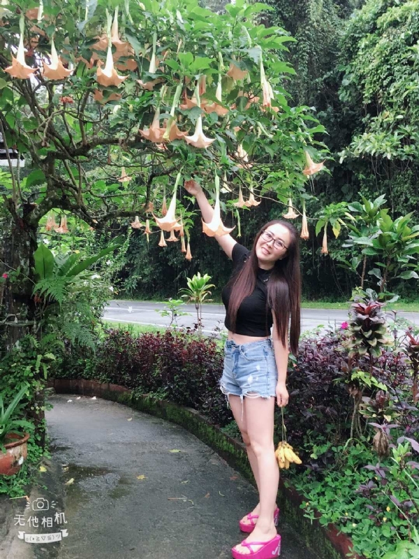 离异单身无子的第二张照片--三明相亲网