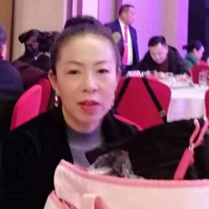 中秋桂花玉兔的第四张照片--三明相亲网