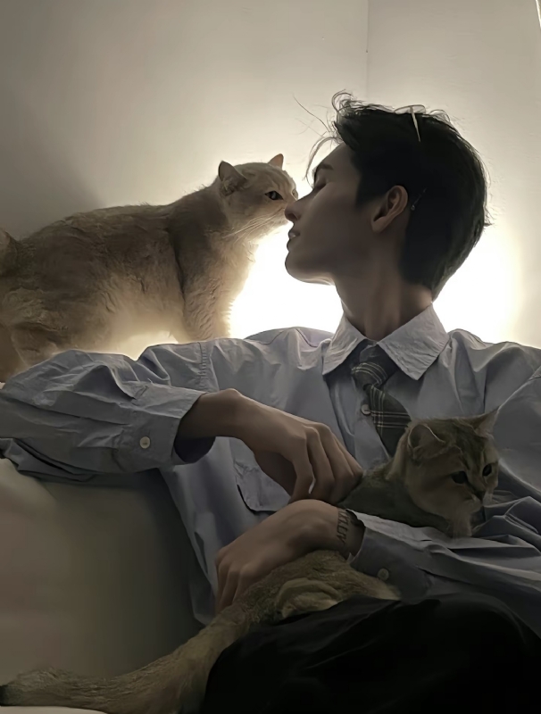 怪猫的第一张照片--三明相亲网