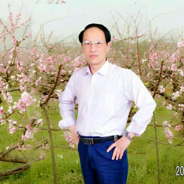 枫叶的第一张照片--三明相亲网